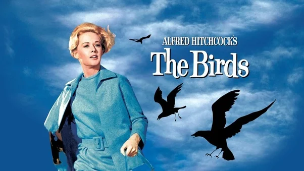 รีวิวภาพยนตร์ The Birds (1963) – นก