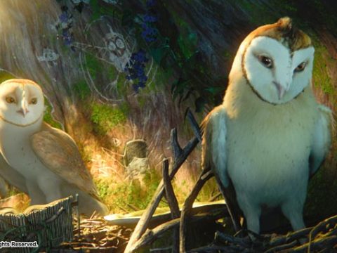 รีวิว Legend of the Guardians: The Owls of Ga’Hoole ตำนานผู้พิทักษ์ (2010)