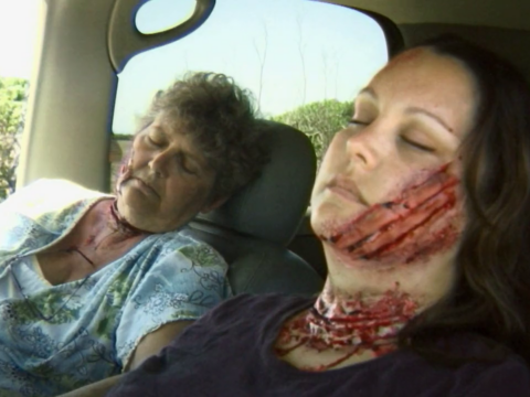 รีวิว Birdemic: Shock and Terror (2010)