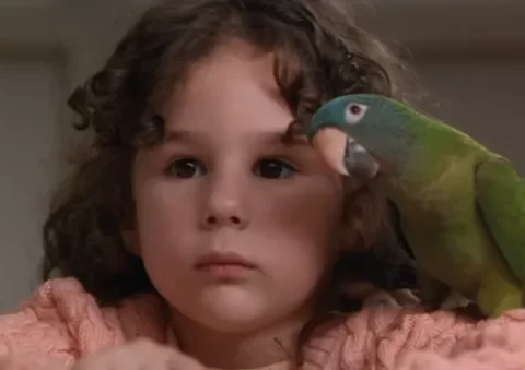 รีวิว Paulie (1998) พอลลี่ นกแก้วมหัศจรรย์