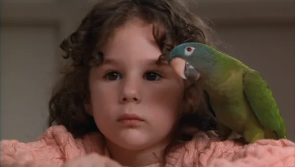 รีวิว Paulie (1998) พอลลี่ นกแก้วมหัศจรรย์